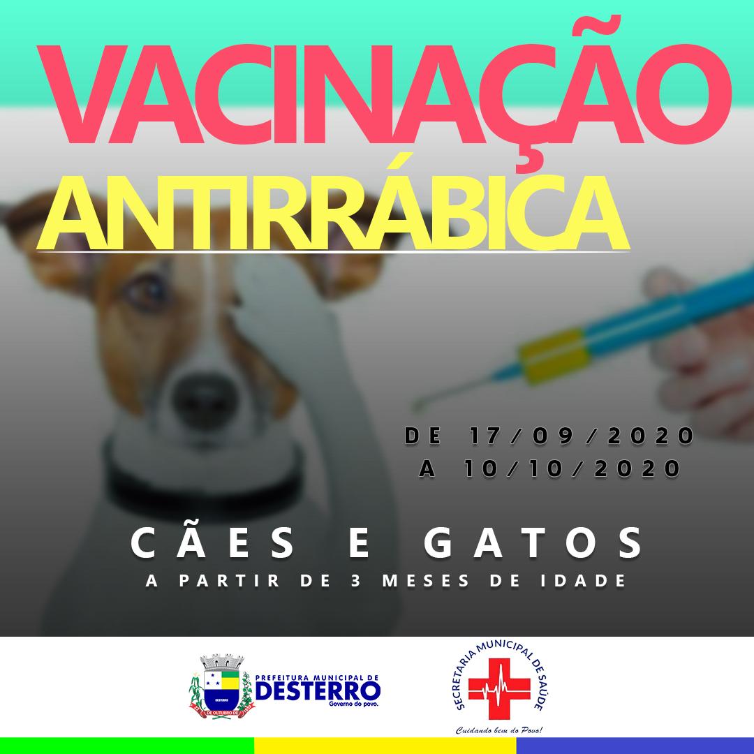 Município continua com vacinação antirrábica até o próximo dia 10/10/2020